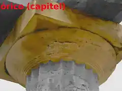 capitel drico