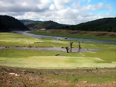 DSCN5531 DSCN5531