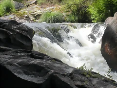 DSCN2822 DSCN2822