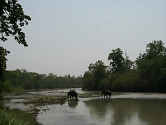 IMG_1216 IMG_1216
