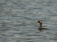 IMG_2192 IMG_2192