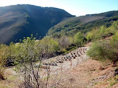 DSCN0133 DSCN0133
