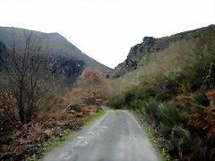 DSCN4012 DSCN4012