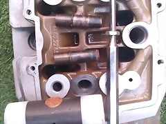 IMG_20230318_180704_435 IMG_20230318_180704_435