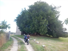 DSCN3521 DSCN3521