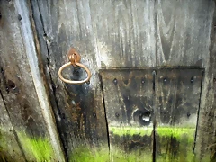 DSCN1179 DSCN1179