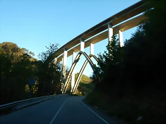 DSCN0214 DSCN0214