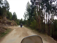 DSCN0133 DSCN0133