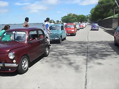 SDC17395 SDC17395