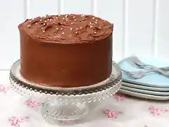 Choc-Mayo-Cake-1