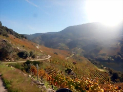 DSCN4649 DSCN4649