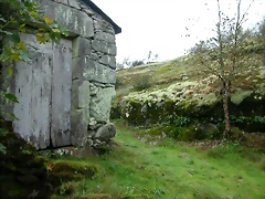 DSCN5746 DSCN5746