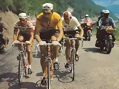 TOUR 1971-MERCKX-VAN IMPE-ZOETTEMELK