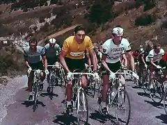 TOUR-MERCKX-PINGEON.-1969