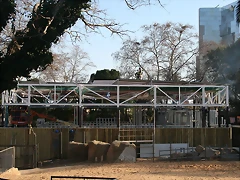 Zoo de Barcelona 01-03-11 403 Zoo de Barcelona 01-03-11 403