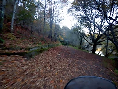 DSCN8977 DSCN8977