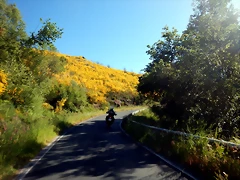 DSCN2085 DSCN2085