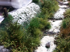 PHOTO 02