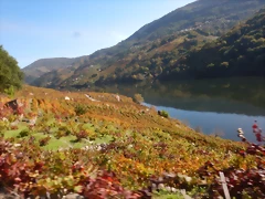 DSCN4637 DSCN4637