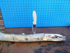DSCF1221 DSCF1221