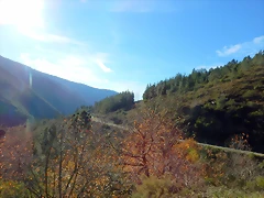 DSCN0197 DSCN0197