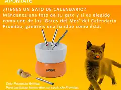 Promo Calendario Fondue