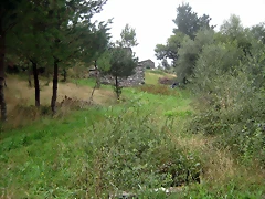 IMG_0250 IMG_0250