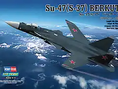 SU 47 BERKUT