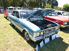 P1070890 P1070890