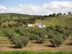 cortijo de jarrabotines