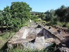 alberca de jarrabotines