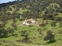 cortio de macrino y arroyo del hocino