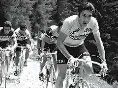 1974,GIRO,PESARRODONA,GIMONDI