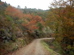 DSCN3098 DSCN3098