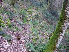 DSCN6126 DSCN6126