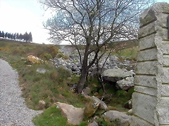 DSCN6080 DSCN6080