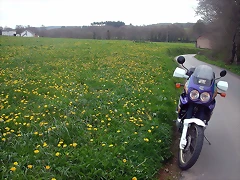 DSCN6076 DSCN6076