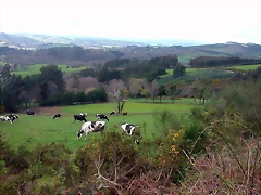 DSCN6083 DSCN6083