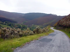 DSCN2878 DSCN2878