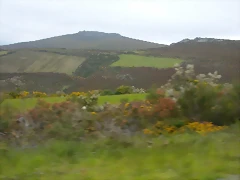 DSCN2888 DSCN2888