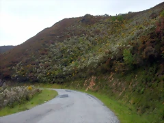 DSCN2881 DSCN2881