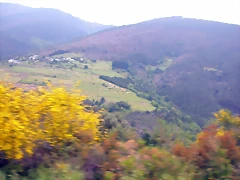 DSCN3032 DSCN3032