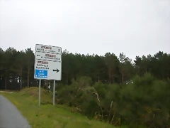 DSCN2890 DSCN2890