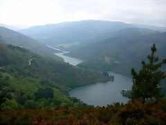 DSCN3037 DSCN3037