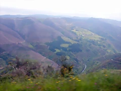 DSCN2938 DSCN2938