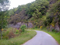 DSCN3011 DSCN3011
