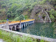 DSCN3006 DSCN3006