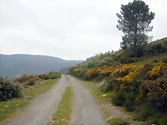 DSCN3039 DSCN3039