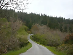 DSCN2850 DSCN2850