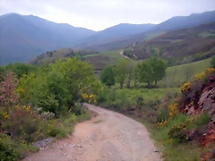 DSCN3060 DSCN3060